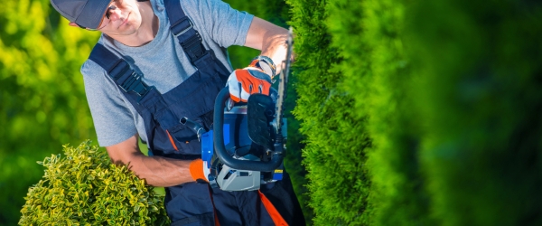 prix jardinier entretien